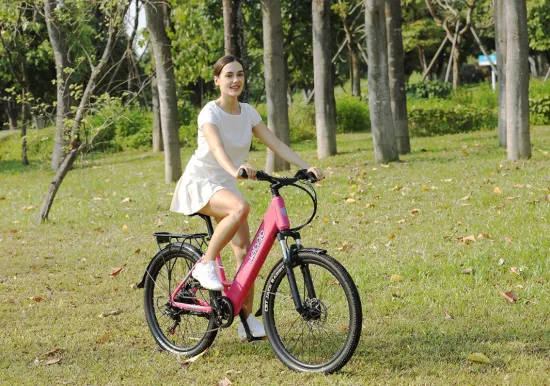 Городской электровелосипед 36 В 48 В со скрытой батареей, 26-дюймовый электрический велосипед для взрослых, образец настройки