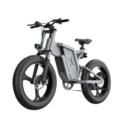 Заводская цена Ebike 40-120 км, 1000 Вт, 20-дюймовый электрический велосипед с толстыми шинами и скрытой батареей